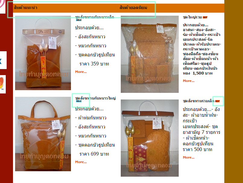  ตัวอย่าง เมนู "สินค้าแนะนำ" และ "สินค้ายอดนิยม" ในเว็บไซต์  thaitumboon.com